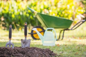 landscape Caan Homes