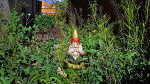Landscape Contractor